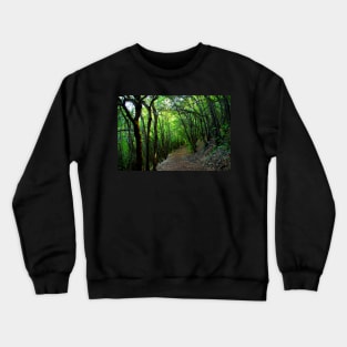 View on the way to the Lame Rosse with oblique trees Crewneck Sweatshirt